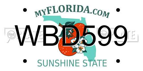 WBD599 Florida License Plate