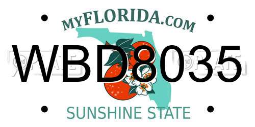 WBD8035 Florida License Plate