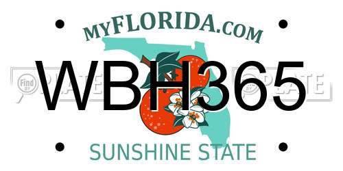 WBH365 Florida License Plate