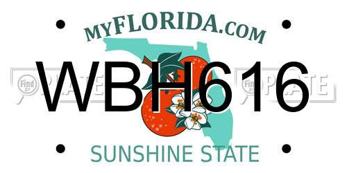 WBH616 Florida License Plate