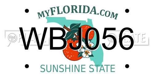 WBJ056 Florida License Plate
