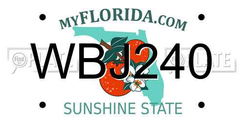 WBJ240 Florida License Plate