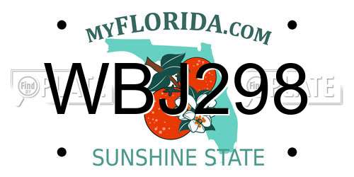 WBJ298 Florida License Plate