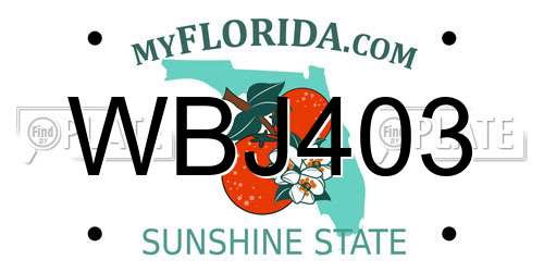 WBJ403 Florida License Plate