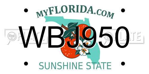 WBJ950 Florida License Plate