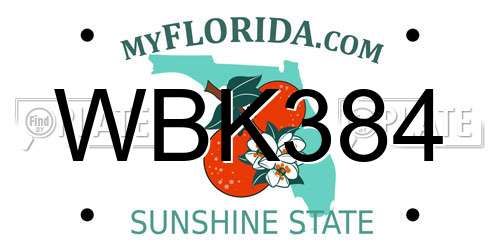 WBK384 Florida License Plate