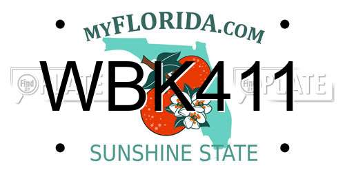 WBK411 Florida License Plate