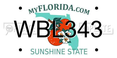 WBL343 Florida License Plate