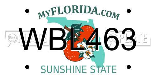 WBL463 Florida License Plate