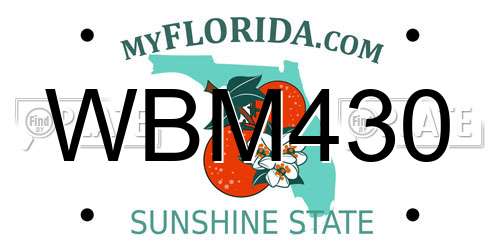 WBM430 Florida License Plate