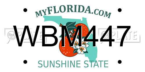 WBM447 Florida License Plate