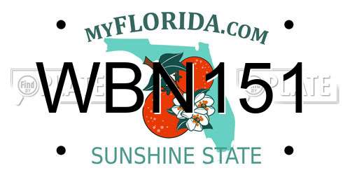 WBN151 Florida License Plate