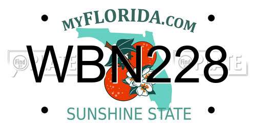 WBN228 Florida License Plate