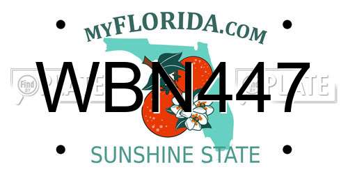 WBN447 Florida License Plate