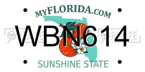 WBN614 Florida License Plate
