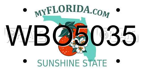 WBO5035 Florida License Plate