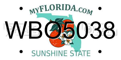 WBO5038 Florida License Plate