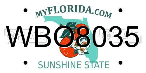 WBO8035 Florida License Plate