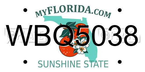 WBQ5038 Florida License Plate