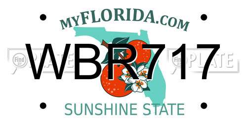 WBR717 Florida License Plate