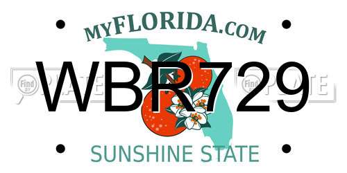 WBR729 Florida License Plate