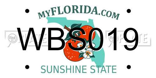 WBS019 Florida License Plate