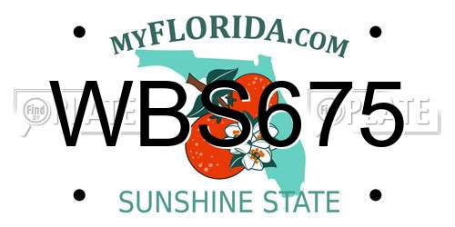 WBS675 Florida License Plate