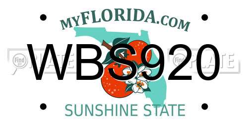 WBS920 Florida License Plate