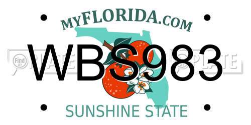WBS983 Florida License Plate