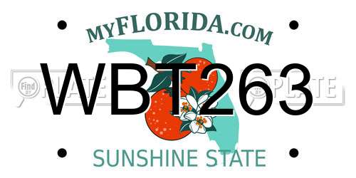 WBT263 Florida License Plate