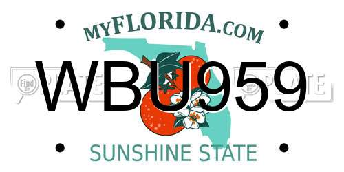 WBU959 Florida License Plate