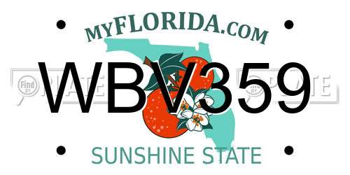 WBV359 Florida License Plate