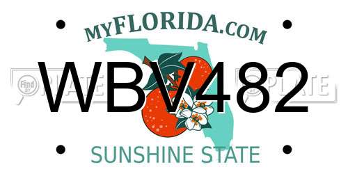WBV482 Florida License Plate