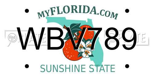 WBV789 Florida License Plate