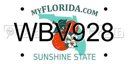 WBV928 Florida License Plate