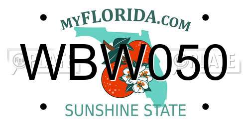 WBW050 Florida License Plate