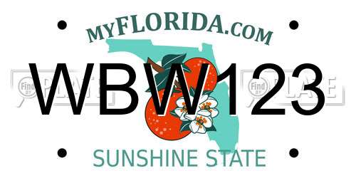 WBW123 Florida License Plate