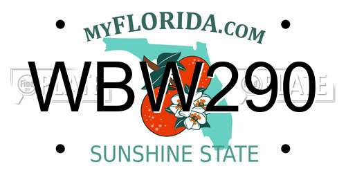 WBW290 Florida License Plate