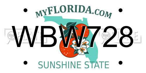 WBW728 Florida License Plate