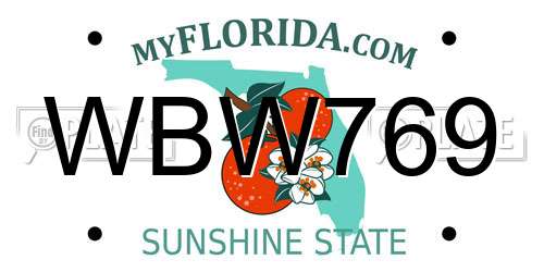 WBW769 Florida License Plate