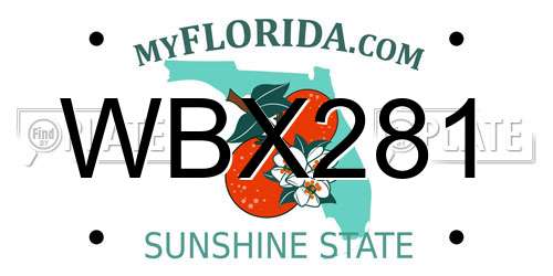 WBX281 Florida License Plate