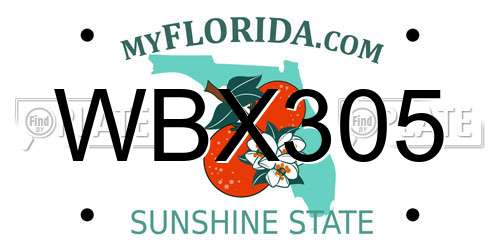 WBX305 Florida License Plate