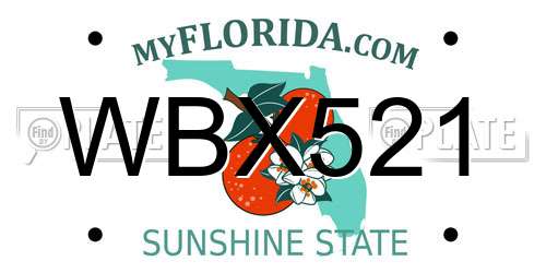 WBX521 Florida License Plate