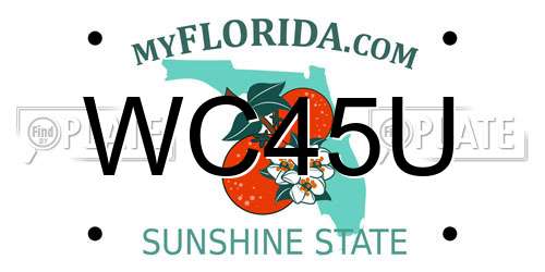 WC45U Florida License Plate