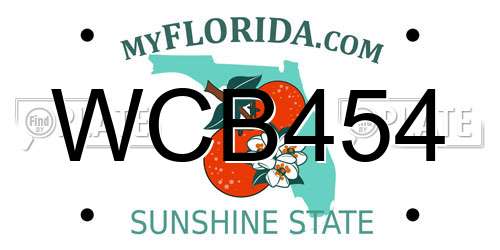 WCB454 Florida License Plate