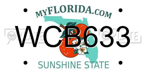 WCB633 Florida License Plate