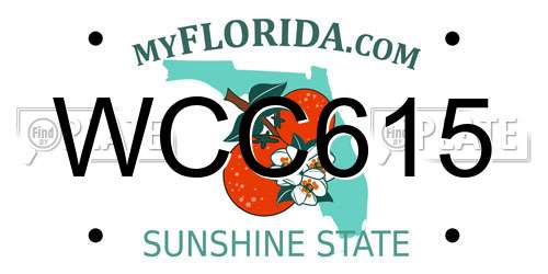 WCC615 Florida License Plate