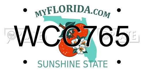 WCC765 Florida License Plate