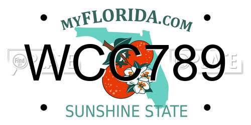 WCC789 Florida License Plate