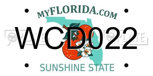 WCD022 Florida License Plate
